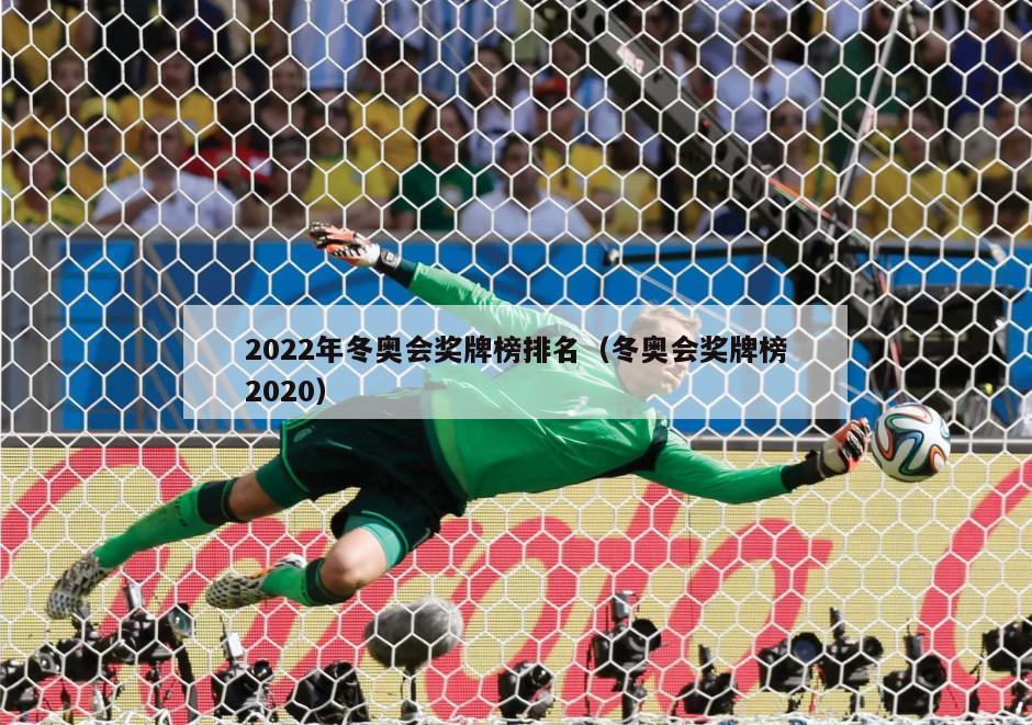 2022年冬奥会奖牌榜排名（冬奥会奖牌榜2020）