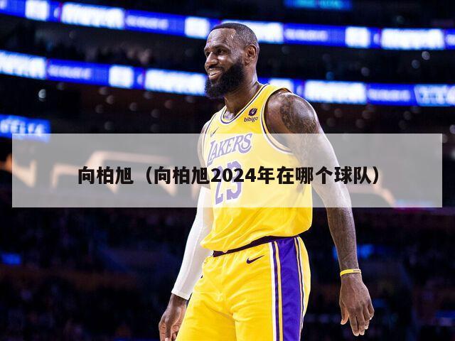 向柏旭（向柏旭2024年在哪个球队）