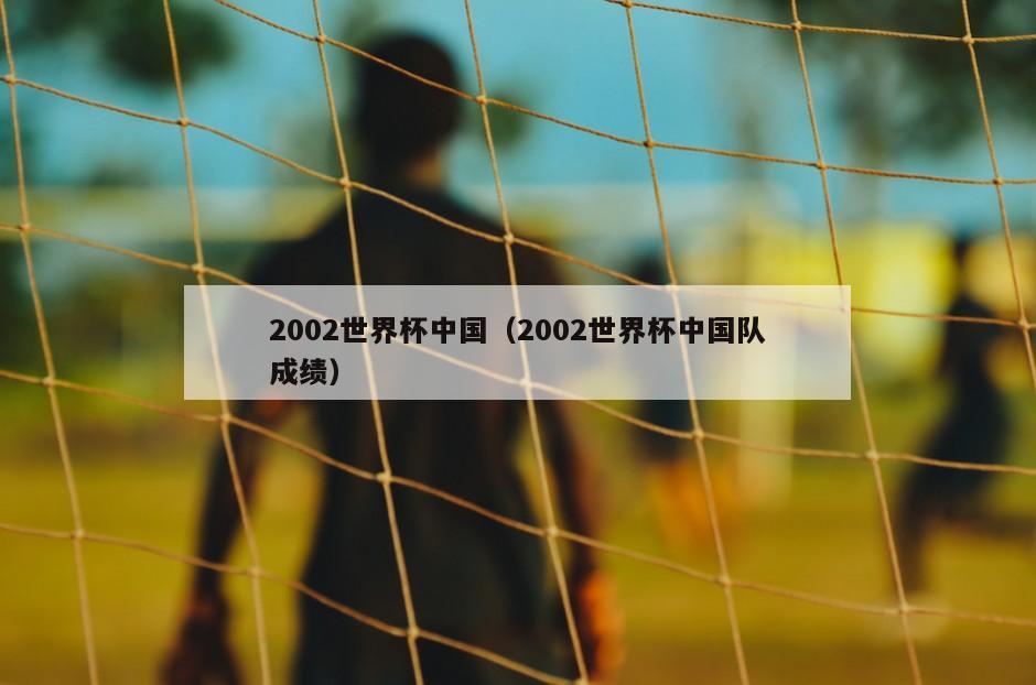 2002世界杯中国（2002世界杯中国队成绩）