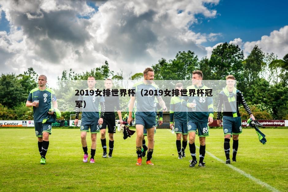 2019女排世界杯（2019女排世界杯冠军）