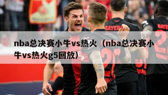 nba总决赛小牛vs热火（nba总决赛小牛vs热火g5回放）